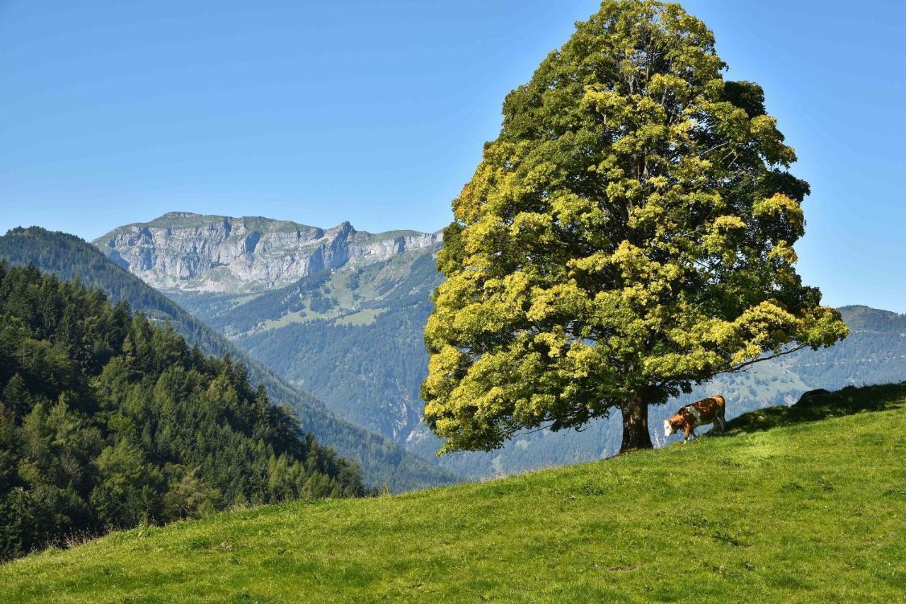 Gwercherwirt Brandenberg Bagian luar foto
